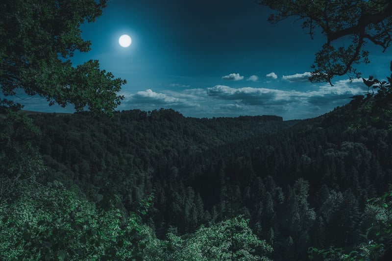 Lunar Lighting Fixture